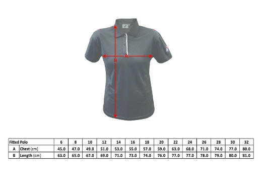 Picture of Domino's Fitted Polo *New Style*